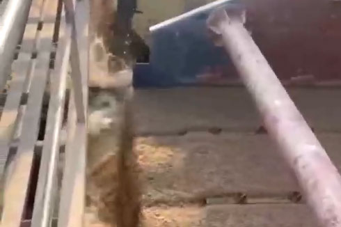 恭祝水洗砂生產(chǎn)線開(kāi)工大吉，采用多臺(tái)豫特科技3061高效脫水篩